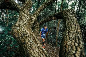 BIB: 
                            <button type="button" onclick="openModal(25392681)" class="btn btn-primary btn-sm float-right btn-popup" data-toggle="modal" data-target=".modal-high-quality">
                        <i class="fas fa-shopping-cart"></i> Add to Cart
                    </button>
                                            <button type="button" onclick="isThisMe(25392681, true)" class="btn btn-success btn-sm float-right btn-popup btn-isme hidden" data-toggle="tooltip" data-placement="bottom" title="นี่คือรูปของคุณใช่ไหม คลิกที่นี่เพื่อเอาเข้าอัลบั้ม">
                        <i class="fas fa-plus"></i> Add to album
                    </button>
                    <button type="button" onclick="isThisMe(25392681, false)" class="btn btn-warning btn-sm float-right btn-popup btn-isnotme hidden">
                        <i class="fas fa-ban"></i> Remove from album
                    </button>